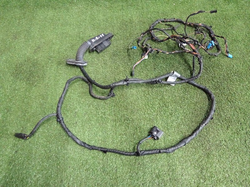 61129282072, 9219480, 61129282071, 9240852 Проводка двери передняя правая BMW 5-Series 2010 фото 1