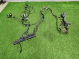 61129243553 Проводка двери задняя левая BMW X5 2007 фото 2