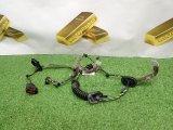 30745849, 30786440, 30822433, 30806945, 30786442 Проводка двери задняя левая Volvo V50 2005 фото 1