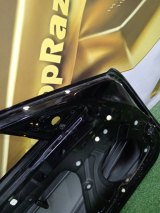 F1Y15802XA, F1Y15802XD, F1Y15802XB Дверь передняя левая Mazda RX-8 2003 фото 14