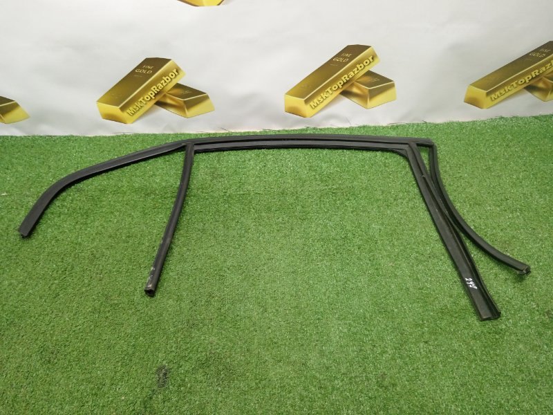 51338250395, 8250395 Уплотнитель стекла двери задний правый BMW 3-Series 2007 фото 1