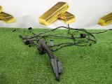 61129243553, 6977074, 3177184661, 61126923514 Проводка двери задняя левая BMW X5 2008 фото 1