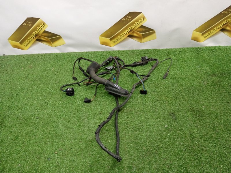 51357166382, 7166382, 6937280, 61126923514 Проводка двери задняя правая BMW X5 2008 фото 1