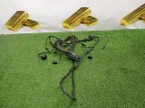 51357166382, 7166382, 6937280, 61126923514 Проводка двери задняя правая BMW X5 2008 фото 1