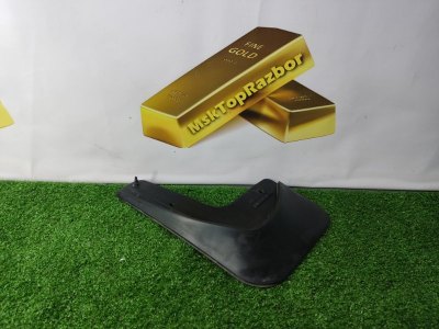 Брызговик