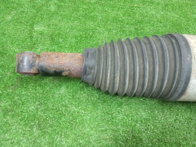 Пневма