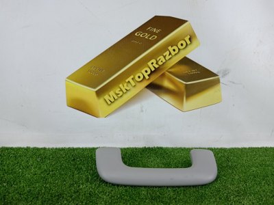 Ручка потолка