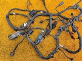 4001101XST10B Проводка подкапотная Haval Jolion 2021 фото 4