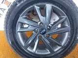 52910D4540 Колесо Kia Optima R16 5x114.3, Triangle 215/60 R16, зимнее, липучка фото 8