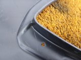 1821000202 Брызговик задний правый Honda CR-V 2018 фото 8