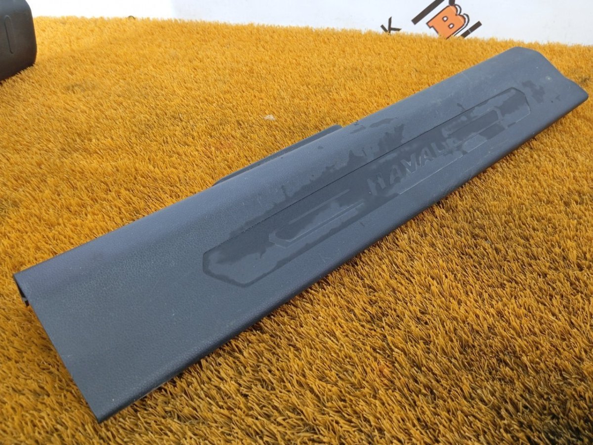 5402182XST01A, 5402182XST01A8P Накладка порога внутренняя передняя правая Haval Jolion 2022 фото 1