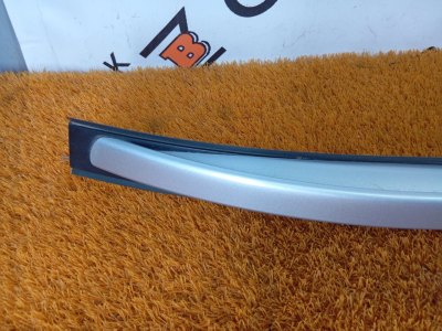 Рейлинг