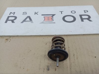 Термостат