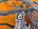 4011101XKQ10C, 4011107XKQ04C, 4011109XKQ04C, 4011103XKQ04C, 7922101XKQ00A, 4003111XKQ20A Проводка подкапотная Haval F7 2022 фото 9