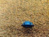 8112300XKV08A8P Датчик температуры воздуха в салоне Tank 500 2023 фото 5