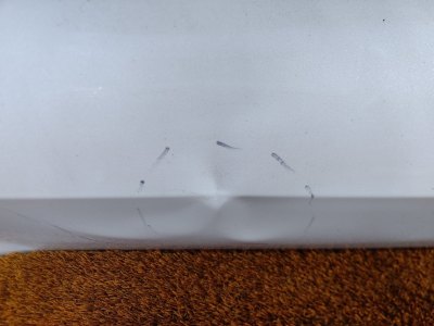Дверь