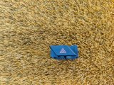 6600068075, 660006807501742 Кнопка аварийной сигнализации Geely Atlas PRO 2023 фото 2