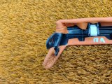 C281F2712012500 Декоративная накладка торпедо Changan UNI-V 2023 фото 8