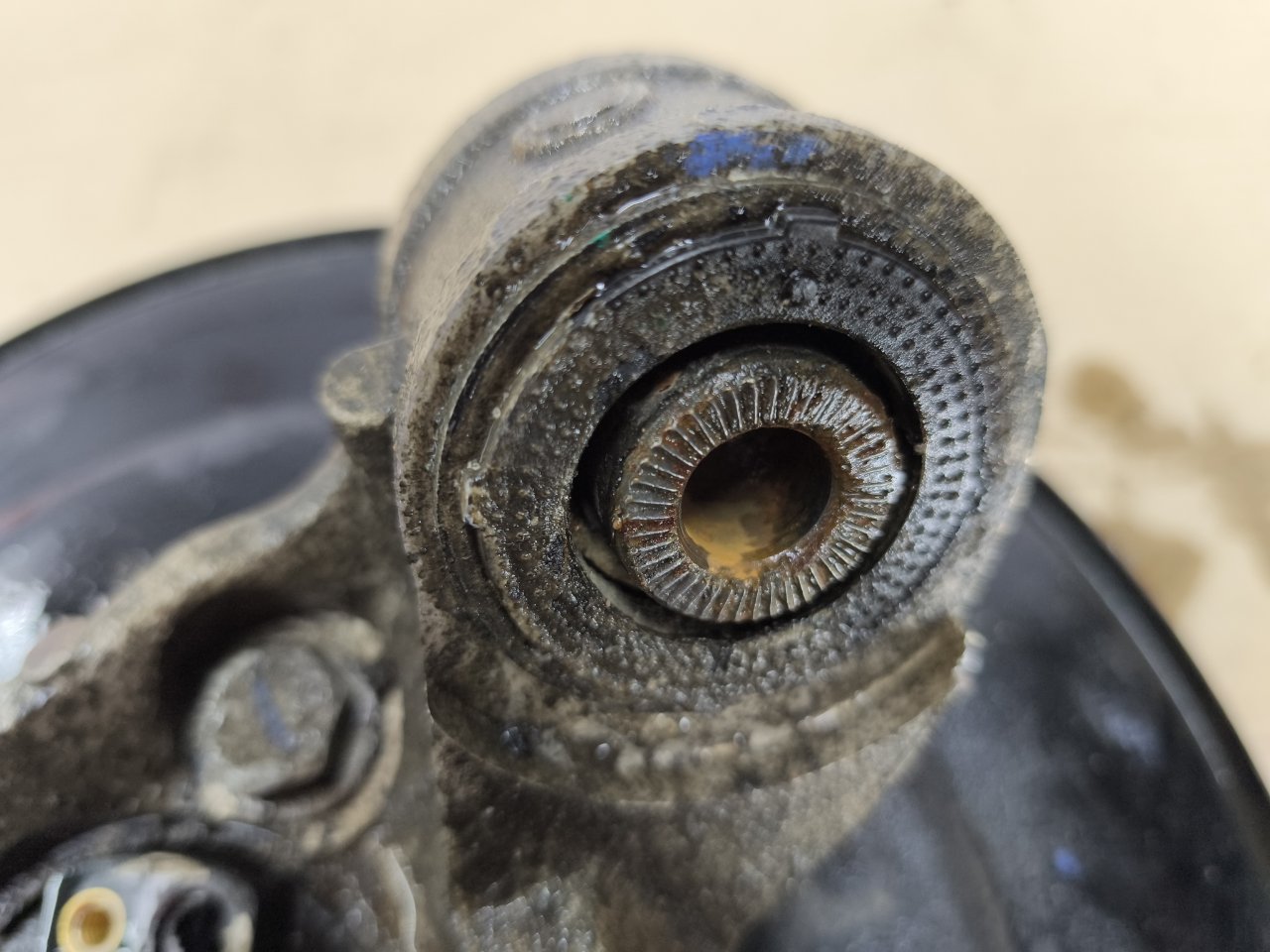 Фото 5