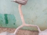 8W5253409A, 8W0253141A Глушитель Audi A4 2020 фото 11