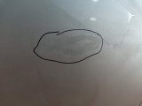 9802635680, OEM0054DZL, CN0C413520L, SH000370 Дверь задняя левая Citroen C4 2021 фото 4