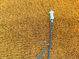 T155401090, T15-5401090 Трос лючка топливного бака Exeed LX 2022 фото 10