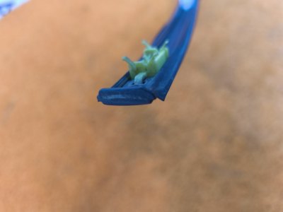 Молдинг крыши