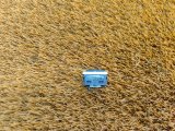 61319384363, 9384363 Кнопка обогрева рулевого колеса BMW 3-Series 2018 фото 3