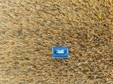 61319384363, 9384363 Кнопка обогрева рулевого колеса BMW 3-Series 2018 фото 4