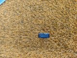 949624201, 9496242 Датчик дождя BMW 3-Series 2018 фото 4