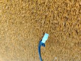 72117259388, 7259388 Ответная часть ремня безопасности передняя правая BMW 3-Series 2018 фото 10