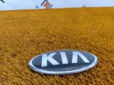 86320H2000 Эмблема Kia Rio 2021 фото 3