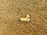 3531003300 Форсунка топливная Hyundai Solaris 2019 фото 6