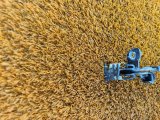 815703X000, 81275-22000, 81280-H5000, 81590-F9000 Ручка открывания бензобака Hyundai Solaris 2019 фото 7
