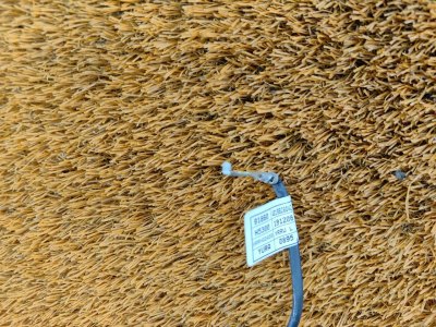 Провод массы