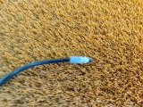 81190F9000, 81190F9010 Трос замка капота Hyundai Solaris 2019 фото 4