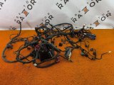 806004911AA, 806002864AA, 806002861AA, 806001969AA, 806006568AA Проводка подкапотная Chery Tiggo 7 Pro Max 2023 фото 2