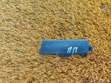 6600069729742 Накладка торпедо передняя правая Geely Coolray 2023 фото 1
