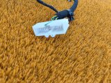 6600124784 Проводка центральной консоли Geely Coolray 2023 фото 4