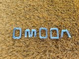609002420AA, 66093691, 62716584 Эмблема передняя Omoda S5 2023 фото 2