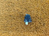 808000109AA Кнопка стеклоподъемника задняя правая Chery Tiggo 7 Pro Max 2023 фото 3