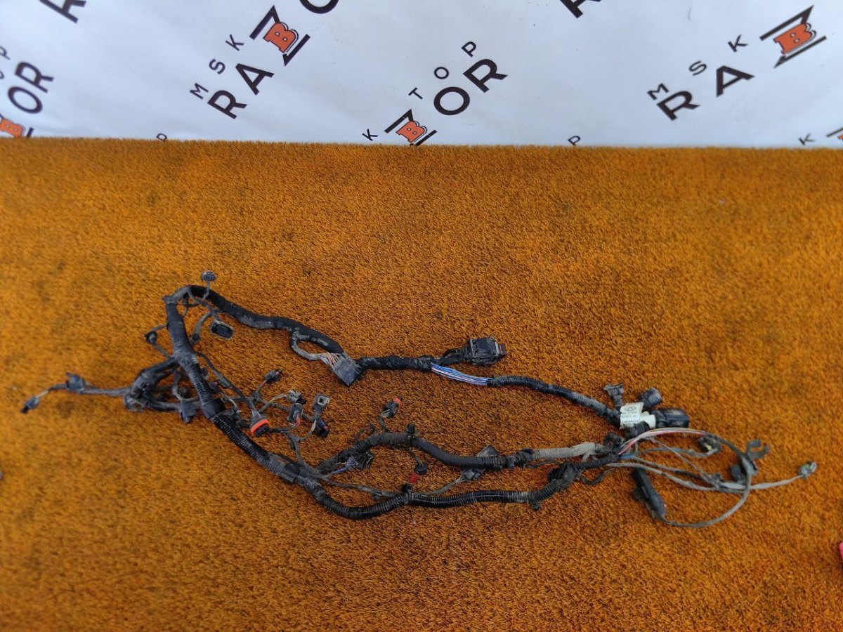 806004911AA, 806002864AA, 806002861AA, 806001969AA, 806006568AA Проводка подкапотная Chery Tiggo 7 Pro Max 2023 фото 1