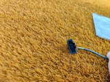 406000167AA Ответная часть ремня безопасности задняя левая Chery Tiggo 7 Pro Max 2023 фото 3