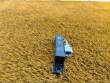 6600145833, 01734803 Антенна ключа Geely Coolray 2023 фото 6