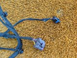 806005033AA Проводка двери задняя левая Chery Tiggo 7 Pro Max 2024 фото 3