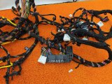 806004956AA, 806007548AA Проводка салона Chery Tiggo 7 PRO 2023 фото 3