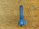 8889786957, 2036513000 Катушка зажигания Geely Atlas 2024 фото 2