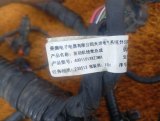 4001101XKZ3MA Проводка подкапотная Haval M6 2023 фото 7