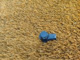 6600058454, 660005845401661 Датчик парковки Geely Atlas PRO 2023 фото 6