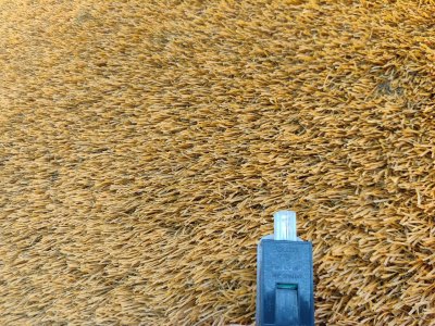 Плафон салона